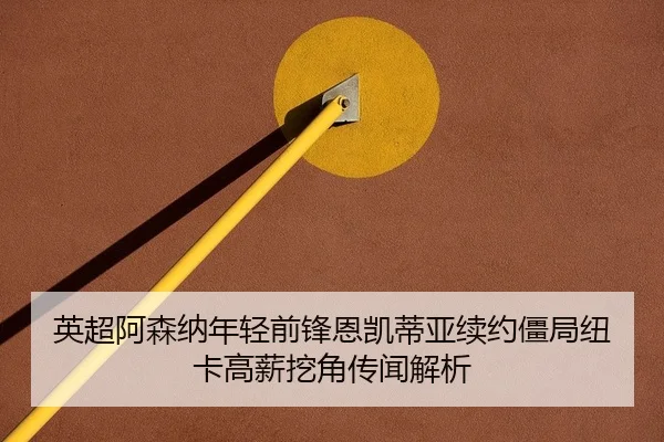 ying-chao-a-sen-na-nian-qing-qian-feng-en-kai-di-ya-xu-yue-jiang-ju-niu-ka-gao-xin-wa-jiao-chuan-wen-jie-xi-2-298.jpg